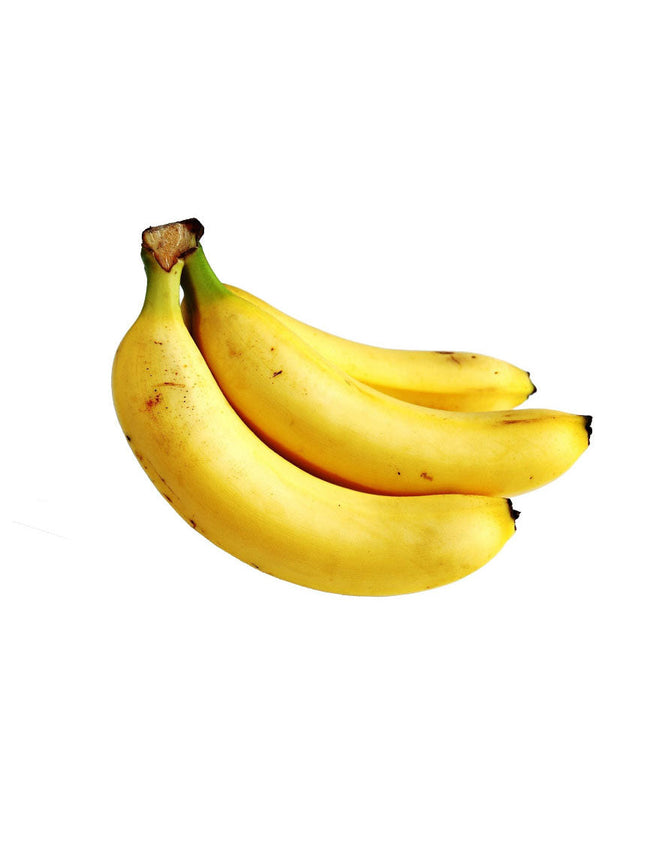 Exercita Tionem Ulam