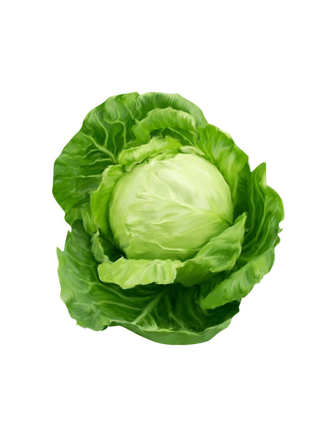 Exercita Tionem Ulam